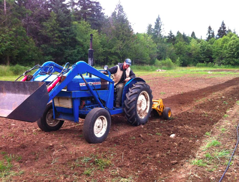 Tractor in field at Salt & Harrow Farm