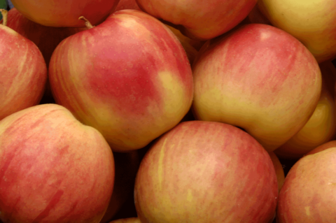 Certified organic apples