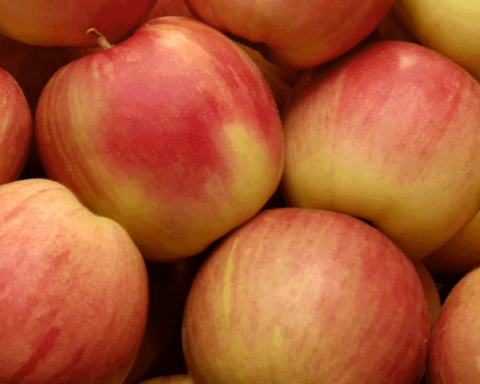 Certified organic apples