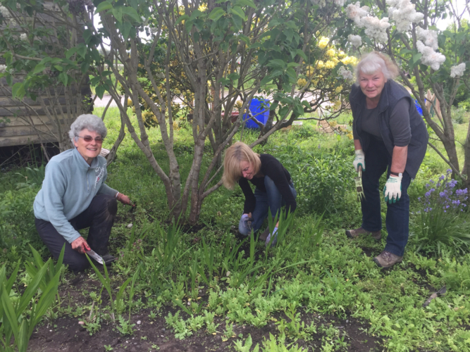 Therapeutic Horticulture: Finding Balance on the Farm - British ...