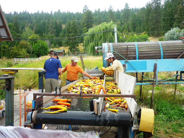 Organic Stories West Enderby Farm British Columbia Organic Grower