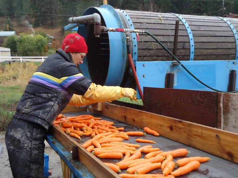 Organic Stories West Enderby Farm British Columbia Organic Grower