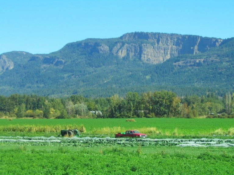 Organic Stories West Enderby Farm British Columbia Organic Grower